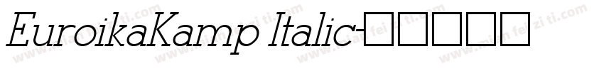 EuroikaKamp Italic字体转换